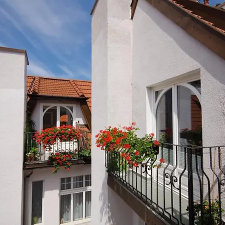 Apartment Imperial - Galeria